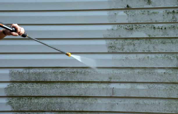 Best Local Pressure Washing Services  in Everett, WA