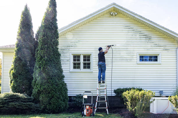Best Residential Pressure Washing Services  in Everett, WA