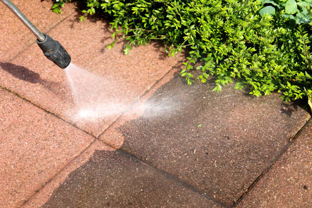 Deck Cleaning Services in Everett, WA